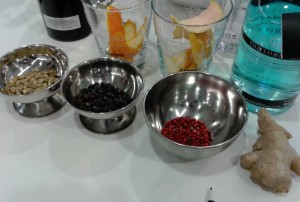 botanicos y especias para gin tonic