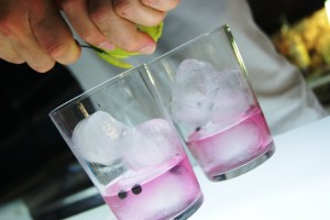 como preparar un gin tonic con ginebra rosa